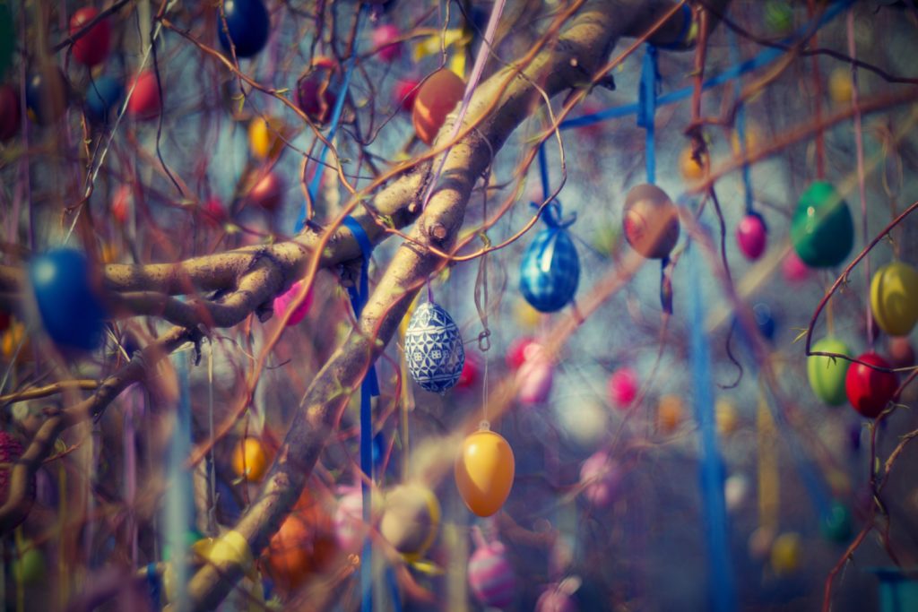 Painted eggs in tree
